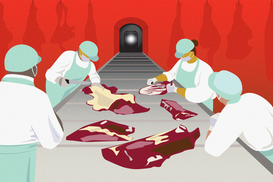 Ailing under slaughterhouse rules Hub